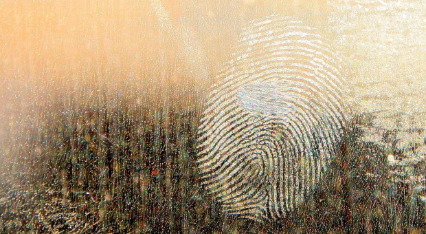 Dane biometryczne to dane wrażliwe (Fot. pixabay) Dane biometryczne pracowników i monitoring: Regulacje prawne coraz bliżej