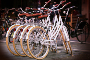 Radomska firma sfinansowała rowery miejskie. Pracownicy przerzucą się na dwa kółka?
