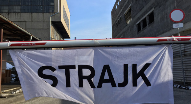 W sumie w 2016 odbyło się 5 strajków. Dla porównania w 2015 zorganizowano ich aż 14. (fot. PTWP) Strajki w polskich zakładach. Gdzie protestują najczęściej?