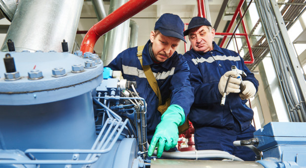 Imigracja ukraińska jest zdecydowanie bardziej pracowita i dużo szybciej asymiluje się, niż imigranci z południa Europy. (Fot. Shutterstock.com) Potrzebujemy Ukraińców na stałe, a nie na chwilę