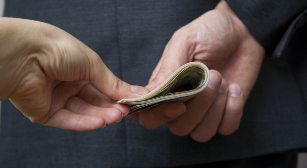 Wołomin: Burmistrz dostanie pensję niższą o 3 tys. zł (fot.shutterstock) Niższe wynagrodzenie dla burmistrz Wołomina