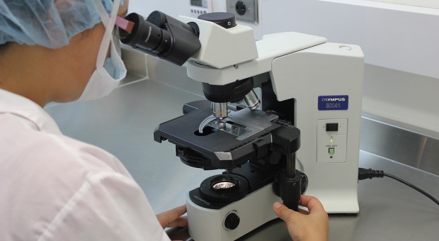 Tematyka prac badawczych-rozwojowych i badań przemysłowych ma dotyczyć trzech głównych obszarów: medycyny spersonalizowanej, technologii farmaceutycznych oraz zarządzania organizacyjnego i procesowego (fot. pixabay.com) Uniwersytet Medyczny w Łodzi zyska 20 nowych laboratoriów