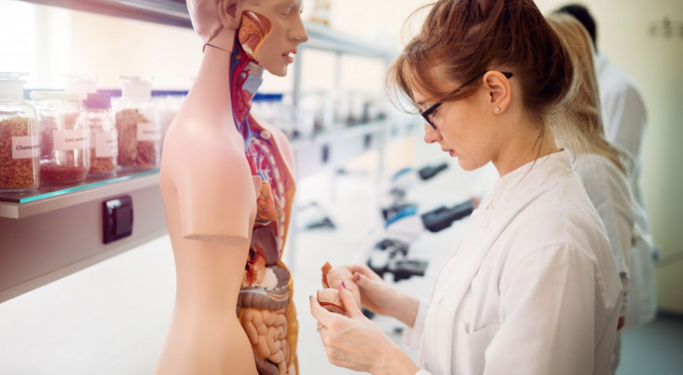 Niedobory kadrowe dotyczą niemalże wszystkich specjalizacji (fot.shutterstock) Lubuskie: Studenci medycyny dostaną wyższe stypendia. Ale jest warunek