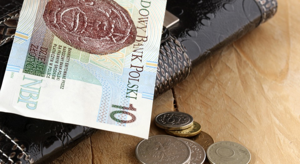 Rząd zakłada, że do Pracowniczych Planów kapitałowych przystąpi ok. 75 proc. pracowników. (fot. pixabay.com) Pracownicze Plany Kapitałowe obejmą najuboższych?