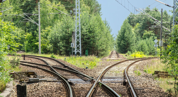 Strajk: Maszyniści domagają się wycofania nowych przepisów umożliwiających kierowanie pociągiem tylko przez jednego maszynistę (fot.pixabay) Portugalia: Paraliż na kolei. Maszyniści strajkują