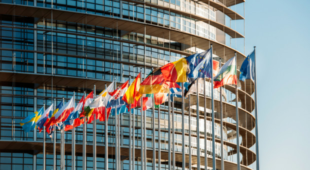 Parlament Europejski poprawi położenie Polski ws. pracowników delegowanych (fot. Shutterstock) Dyrektywa o pracownikach delegowanych ominie przewoźników?