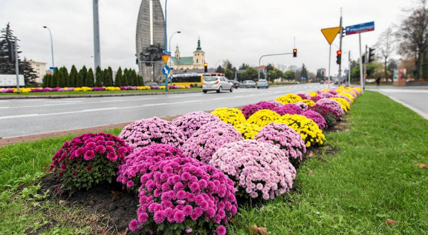 Rzeszów przyciąga pracą mieszkańców wielu okolicznych miejscowości (fot. twitter.com / UM Rzeszów) Rzeszów, Starachowice, Wałbrzych. Te miasta przyciągają pracą okoliczną ludność