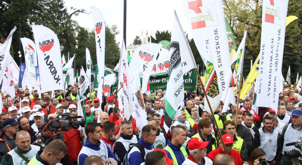 Górnicy w ub. roku nie strajkowali. Co innego nauczyciele (fot. Paweł Pawłowski) Strajki w Polsce w 2017 r. Najwięcej protestowali... nauczyciele
