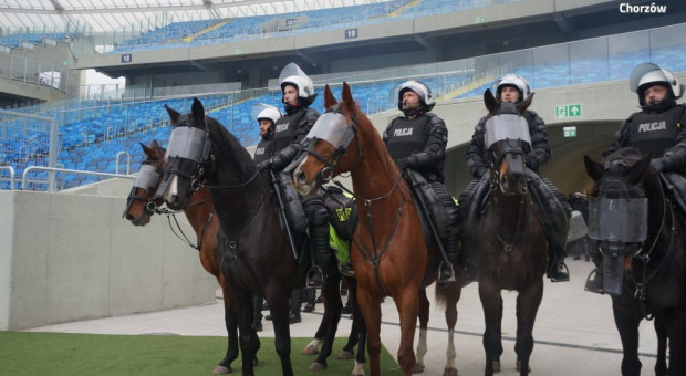 Zespół Konny Komendy Miejskiej w Chorzowie rekrutuje. (fot.slaska.policja.gov.pl) Policja rekrutuje do zespołu konnego. Kandydaci powinni ... kochać zwierzęta