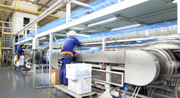 Kierownik ds. planowania i przygotowania produkcji zarabia średnio 10 387 zł brutto. (Fot. Shutterstock) Praca i zarobki na produkcji. Ile zarabia referent ds. produkcji, a ile jego kierownik i dyrektor?