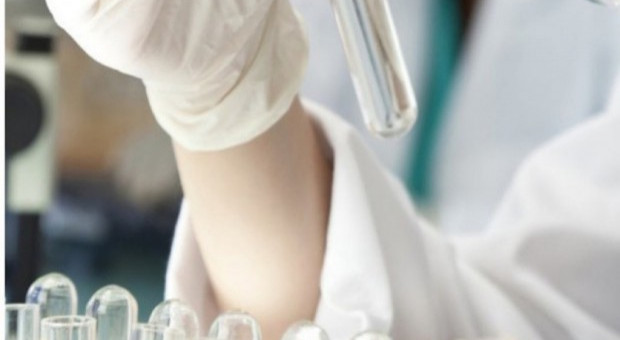 Od września rusza nowy kierunek (fot. archiwum Rynek Zdrowia) Collegium Medicum UJ otwiera nowy kierunek. Niektórzy zapłacą 7,5 tys. dolarów