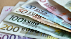Bilans plusów i minusów rezygnacji z własnej waluty stał się więc w oczach szefów firm korzystny. (fot. pixabay.com) Zaskakujący wynik sondażu. Polskie firmy chcą wprowadzenia euro