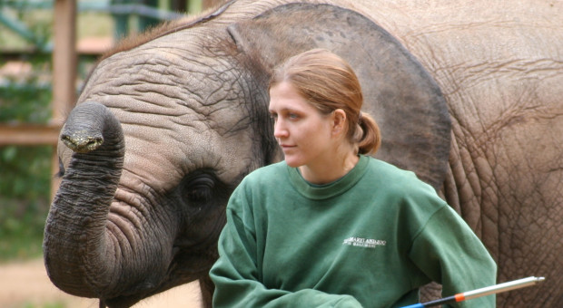 Fot. Wikimedia Wrocławskie zoo chce ustandaryzowania zawodu opiekuna zwierząt