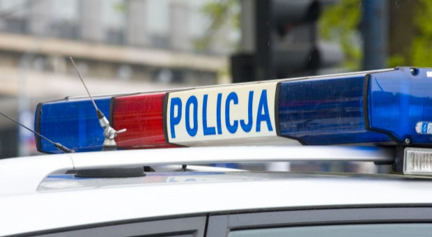 Funkcjonariuszka pracuje w policji około 12 lat. Jak podały lokalne media, do niedawna przez kilka lat pełniła funkcję oficera prasowego w Komendzie Powiatowej Policji w Kartuzach. fot. Shutterstock Policjantka prowadziła auto pod wpływem. Zawieszono ją w czynnościach służbowych