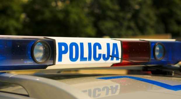 Jak podała prokuratura, zdarzało się, że policjanci informowali zatrzymanych o innej niż faktycznie obowiązująca - najczęściej niższej - dopuszczalnej na danym odcinku prędkości Fot. Shutterstock Będą wnioski o aresztowanie trzech policjantów z Gliwic