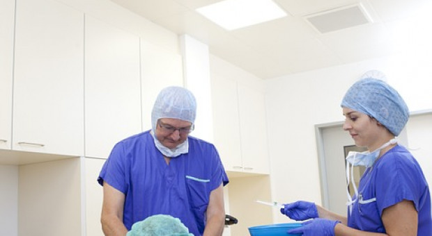 W Przemyślu pielęgniarki nie odeszły od łóżek pacjentów. Pracują normalnie, a w akcji uczestniczą w czasie wolnym. Nocują w szpitalu na rozłożonych na korytarzu materacach. (fot. pixabay.com) Pielęgniarki z Przemyśla po rozmowach z zarządem. Co dalej z głodówką?