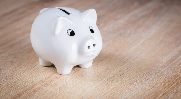 Projekt budżetu na 2019 rok przedstawiła na posiedzeniu RDS minister finansów Teresa Czerwińska. (fot. pixabay.com) Związkowcy i pracodawcy krytycznie o projekcie budżetu na 2019