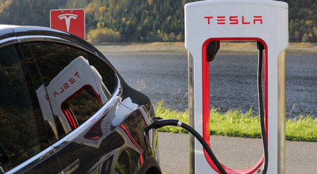 Szef Tesli Elon Musk jeszcze w lipcu podpisał z lokalnymi władzami umowę na budowę fabryki w Szanghaju. (fot. pixabay.com) Tesla wykupiła teren pod budowę fabryki w Szanghaju