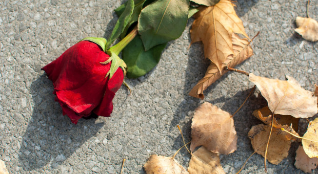 Zgodnie z prawem unijnym śmierć pracownika nie powoduje wygaśnięcia jego prawa do corocznego płatnego urlopu (fot.shutterstock) Co z ekwiwalentem za urlop po śmierci pracownika?