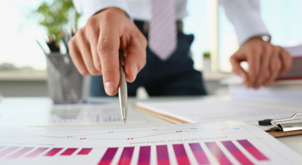 Jak wynika z odpowiedzi na jedną z interpelacji poselskich, w Polsce przedsiębiorcę może skontrolować ponad 40 różnych podmiotów (fot. shutterstock.com) W Polsce przedsiębiorcę może skontrolować ponad 40 różnych podmiotów