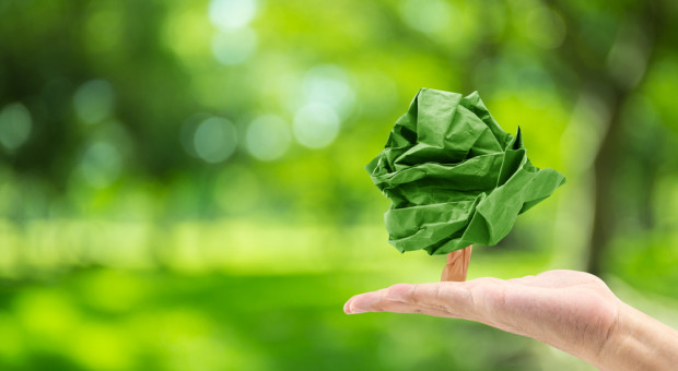 (fot.shutterstock.com) EEC Green. Idea zrównoważonego rozwoju sprawdza się także w rekrutacji