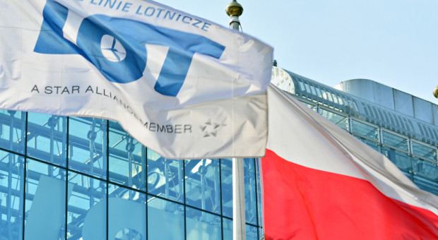 Nowa siatka połączeń będzie obowiązywała od czerwca do września 2019. (fot.shutterstock.com) Piloci LOT będą mieli pełne ręce roboty. Lotów będzie więcej