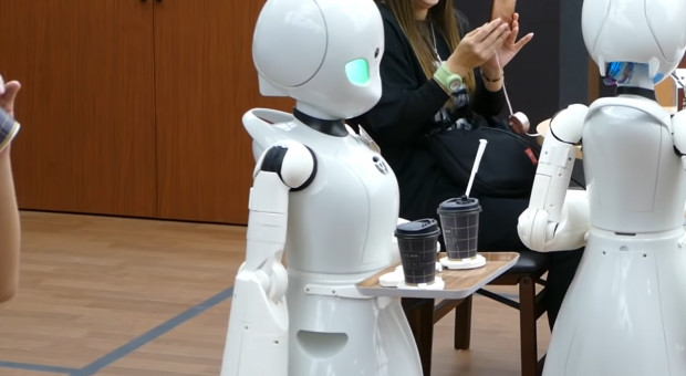 Robot-kelner nazywa się OriHime-D i mierzy 120 cm wzrostu (fot. Kazumichi Moriyama/youtube.com) Japonia: kawiarnia sposobem aktywizacji zawodowej osób niepełnosprawnych