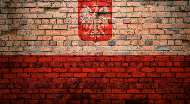 Oprócz Ukraińców do Polski za pracą przybywa coraz większa grupa obywateli Indii, Bangladeszu czy Nepalu. (fot. publicdomainpictures.net/domena publiczna) Polska przyciąga. Cudzoziemcy chcą pracować nad Wisłą