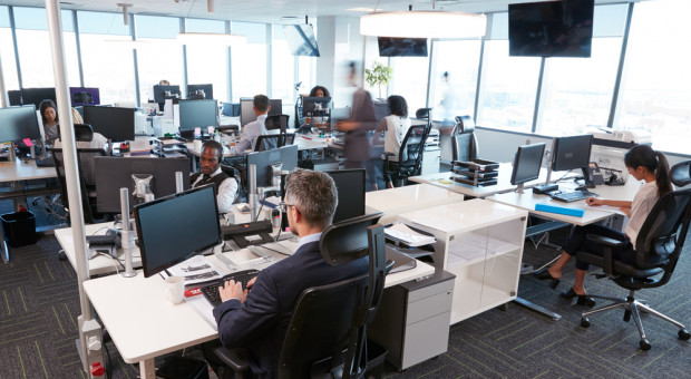 Naukowcy z Uniwersytetu w Sydney przeprowadzili badania, z których wynika, że biura typu open space negatywnie wpływają na efektywność pracy (fot. Shutterstock) Aranżacja biura wpływa na efektywność pracy. 5 trendów biurowych na 2019 rok