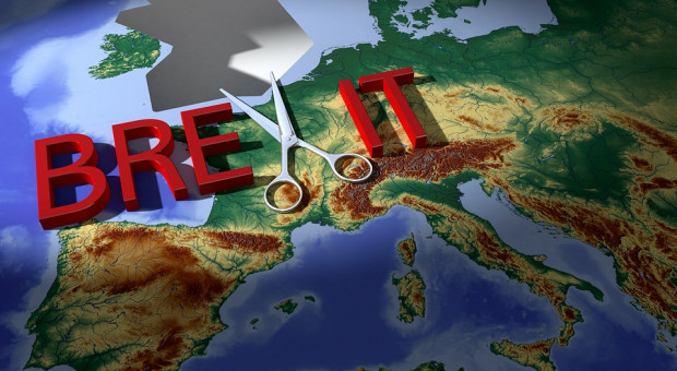 Jednocześnie IDA Ireland poinformowała, że w 2018 roku w Irlandii w międzynarodowych firmach zatrudniona była rekordowo wysoka liczba 229 057 osób. (fot. pixabay.com) Irlandia korzysta na brexicie. W kraju ponad 4500 nowych miejsc pracy