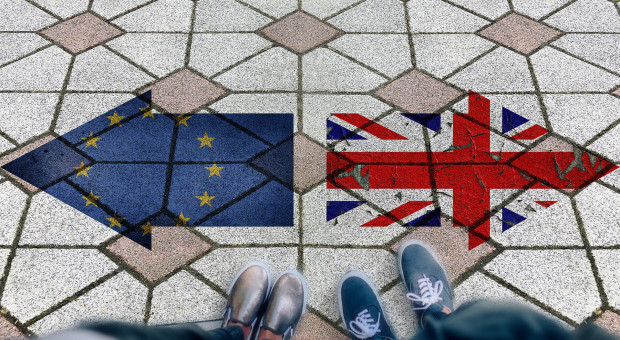 Wraz z Brexitem pojawią się kontrole, cła, certyfikaty, zezwolenia, kwestie logistyczne czy różnego rodzaju dodatkowe formalności. Istotne są też przepisy związane z czasem pracy (fot.pixabay) Brexit. Co oznacza dla polskich firm i jak się na niego przygotować?