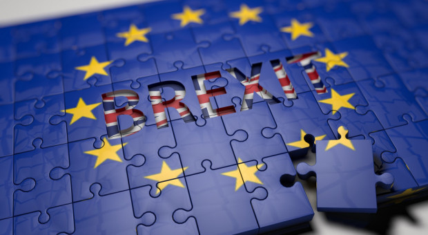 Obecnie Wielka Brytania jako członek UE jest objęta przepisami RODO. (Fot. Pixabay) Twardy brexit to nowe obowiązki dla firm przy ochronie danych