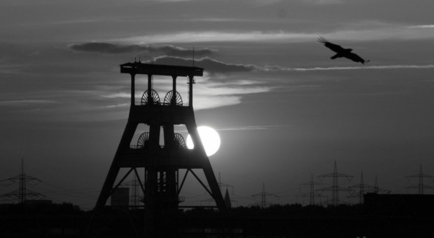 W wyniku katastrofy w kopalni Rudna w Polkowicach zginęło 8 górników (fot.pixabay) Śledztwo ws. katastrofy w kopalni Rudna umorzone