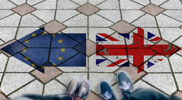Jak twierdzą niemieccy ekonomiści, twardy brexit zagrozi bezpośrednio aż 100 tys. miejsc pracy w ich kraju. (Fot. Shutterstock) Brexit może powstrzymać odpływ Ukraińców do Niemiec?