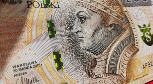 Z informacji ujawnionej przez NBP wynika, że najwyższe przeciętne wynagrodzenie miesięczne brutto otrzymywał dyrektor departamentu komunikacji i promocji - 49 tys. 563 zł. fot. pixabay Obniżyć wynagrodzenia w NBP do poziomu sprzed lat?