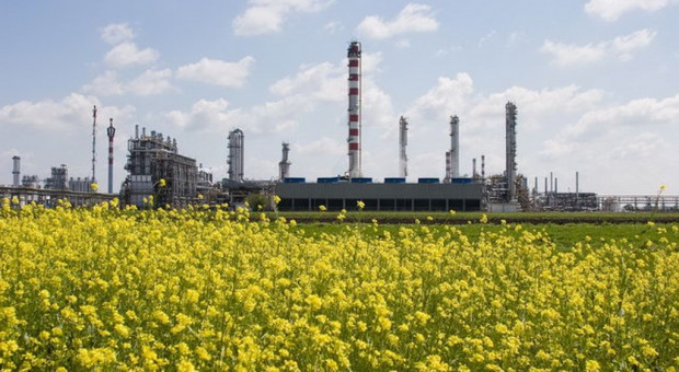 Rafineria TVK Petrochemicals, która należy do Grupy MOL. (fot. molgroup.info) Grupa MOL inicjuje kolejną edycję Growww