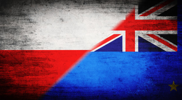 Groźba twardego brexitu jest coraz większa. (fot.shutterstock.com) Uznanie kwalifikacji zawodowych po twardym brexicie tematem posiedzenia rządu