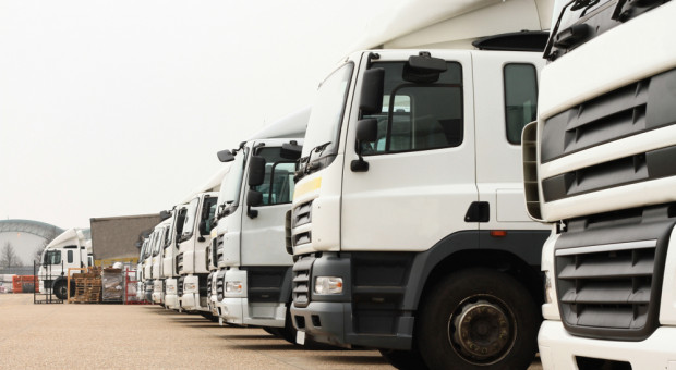 (fot.shutterstock.com) Polskie firmy transportowe na krawędzi. Najbliższe miesiące nie wróżą nic dobrego