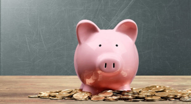 (Fot. Shutterstock) Eksplozji wynagrodzeń nie będzie