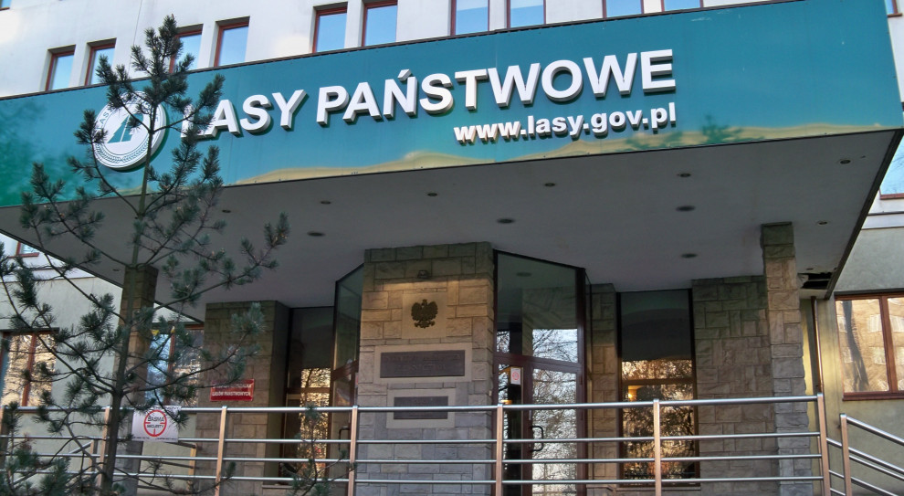 Poznański magistrat przypomniał, że Zakład Lasów Poznańskich opiekuje się lasami w granicach administracyjnych miasta Poznania. (Fot. lasy.gov.pl) Zakład Lasów Poznańskich poszukuje wolontariuszy