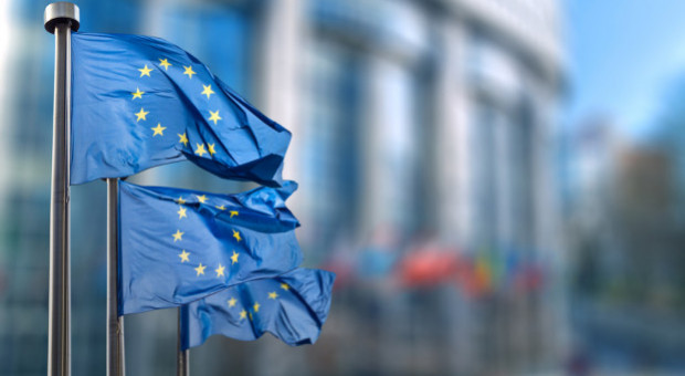 Bułgarka Kristalina Georgiewa ma zostać przewodniczącą Rady Europejskiej, premier Belgii Charles Michel szefem unijnej dyplomacji Fot. Shutterstock Georgiewa na przewodniczącą Rady, Michel szefem dyplomacji UE