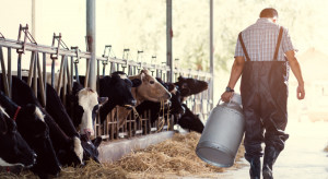 Najwięcej czasu przepracowali przedstawiciele sektora rolnictwa, leśnictwa, łowiectwa i rybactwa – 455 godzin na 1 zatrudnionego. (fot.shutterstock.com) GUS: Rolnicy pracują najwięcej. Nauczyciele najmniej