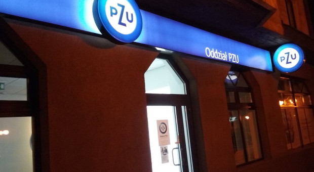 PZU poinformowało: Ruszył internetowy serwis dla pracowników do obsługi PPK