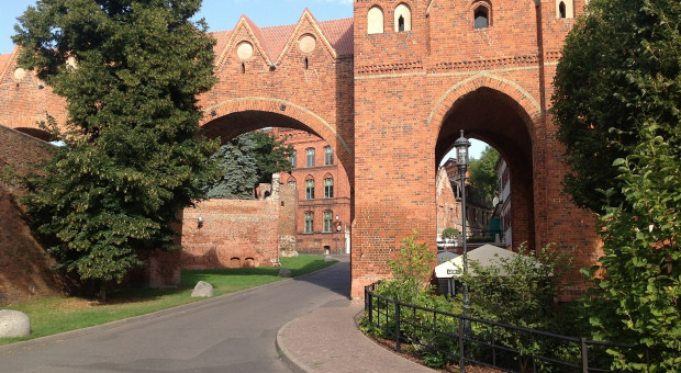 Widok na jedna z ulic Torunia, gdzie mieści się Toruńska Agencja Rozwoju Regionalnego (TARR). (fot. pixabay.com) Eksporterzy z Kujaw i Pomorza dostaną wsparcie na ekspansję