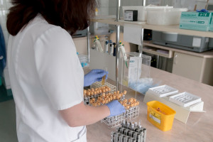 Śląski Uniwersytet Medyczny podpisał umowę z siecią ośrodków badań klinicznych