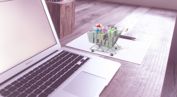 Taniguchi wykorzystywał dane z kart do zakupów przez internet (fot. pixabay.com) Za dnia pracował jako sprzedawca, nocą okradał swoich klientów