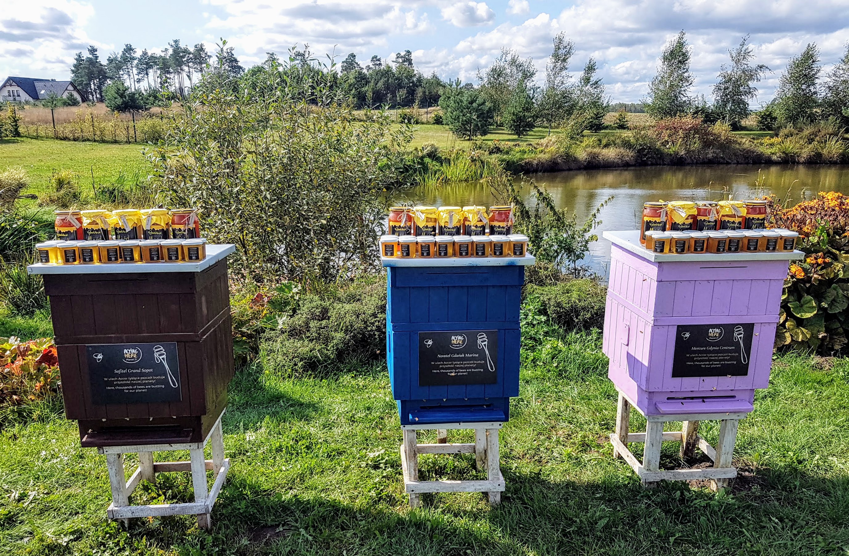 Accor Bee Hives TriCity-Poland_2 .jpg