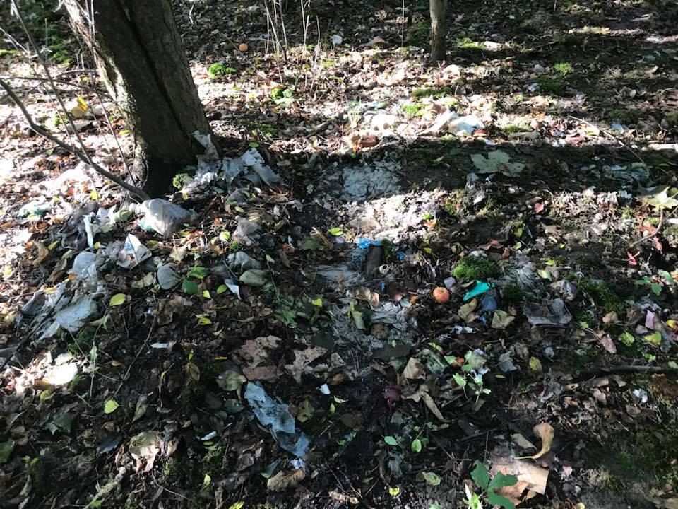 Zaśmiecona część zieleni miejskiej, którą zdecydowano się zająć w ramach akcji. (fot. materiały prasowe)