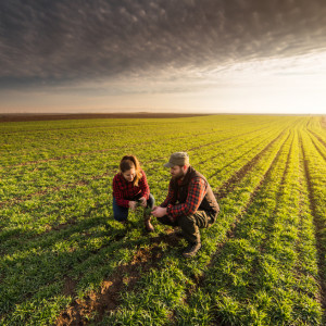 Nie słabnie zapotrzebowanie na pracowników z Ukrainy. Choć jest jeden wyjątek