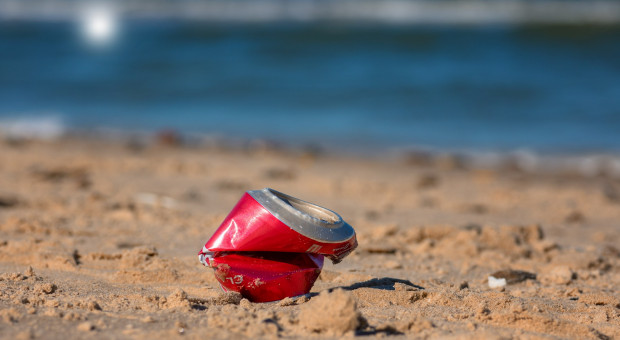 Akcja „Przekaż dzieciom czystą Ziemię” ma na celu wsparcie procesu oczyszczania wód Bałtyku z plastikowych odpadów (fot. Pixabay) Henkel walczy o czysty Bałtyk